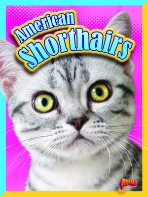 cover image of American Shorthairs